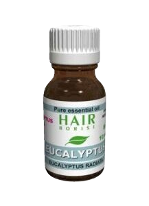 Hairborist Eucalyptus radiata 10ml